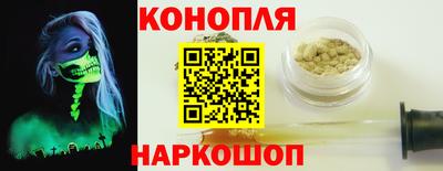 молекула духа Шелехов