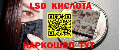 молекула духа Шелехов