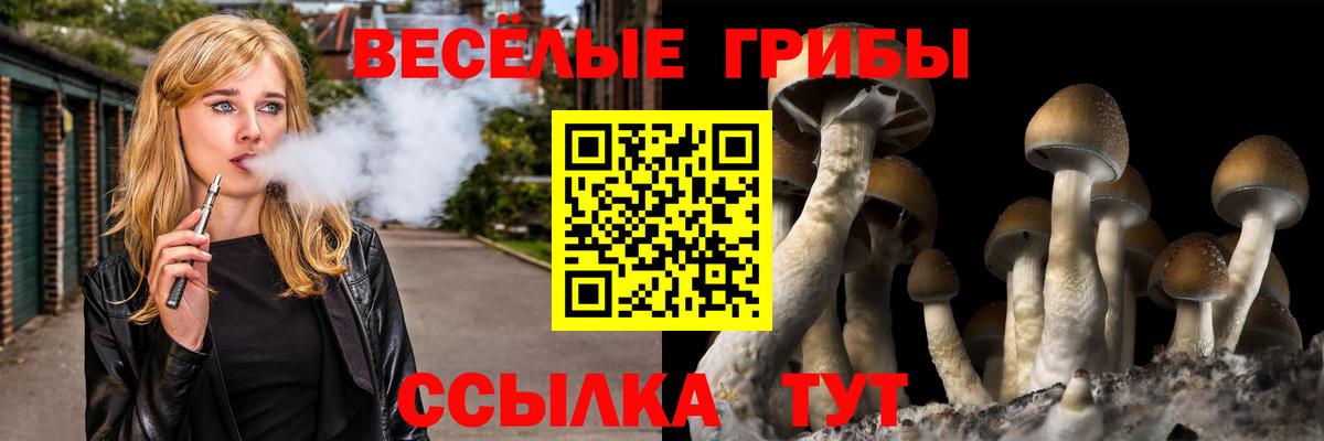 Галлюциногенные грибы Cubensis  Вход с VPN  Нягань 
